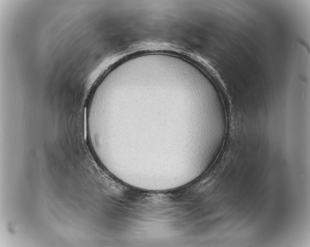 X0000102231175200808151722