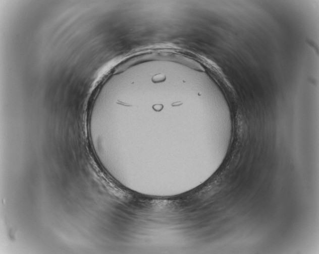 X0000102231176200808151722