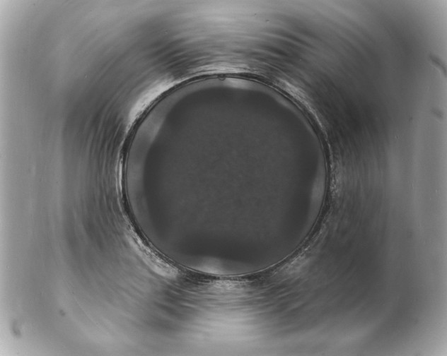 X0000102231179200808151722