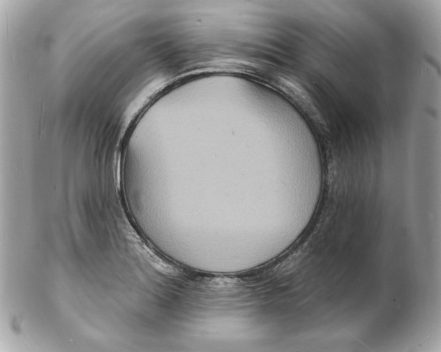 X0000102231180200808151722