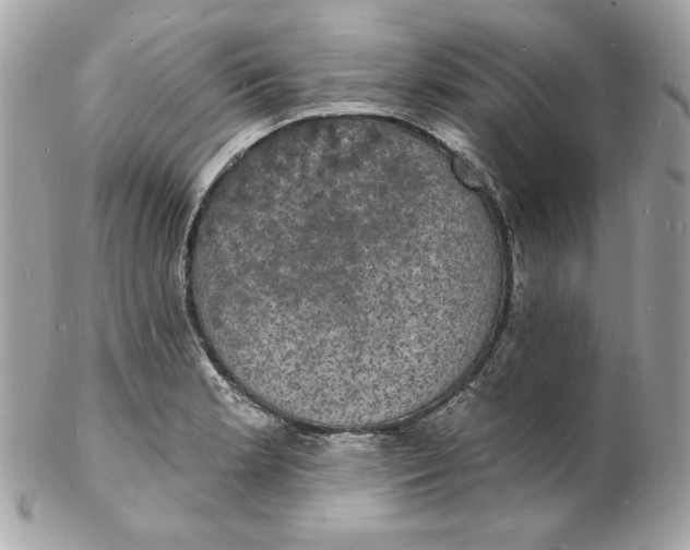 X0000102231181200808151722