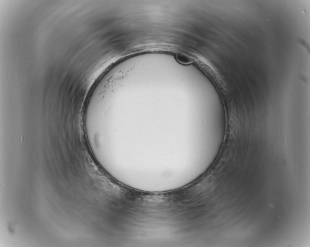 X0000102231182200808151722