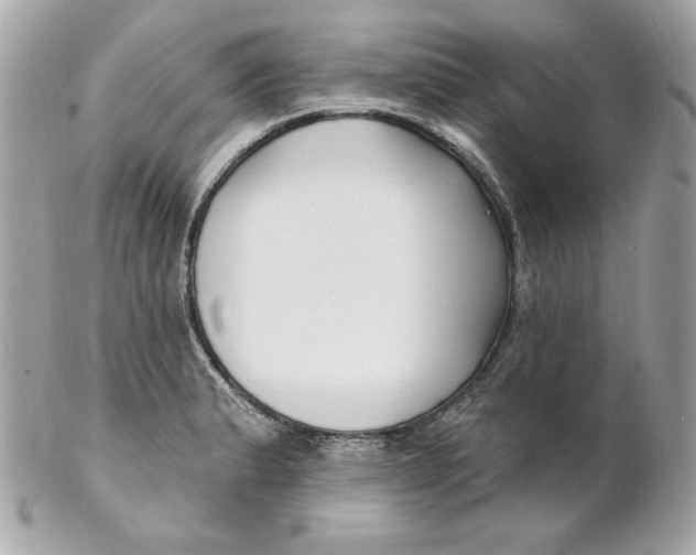 X0000102231183200808151722