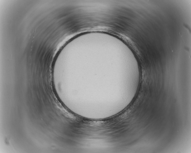 X0000102231184200808151722