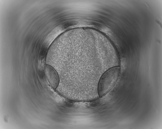 X0000102231185200808151722