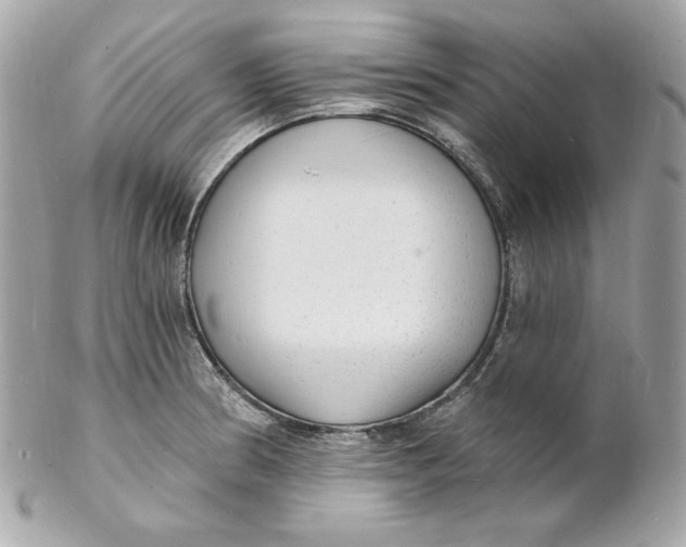 X0000102231186200808151722
