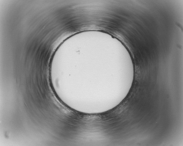 X0000102231187200808151722