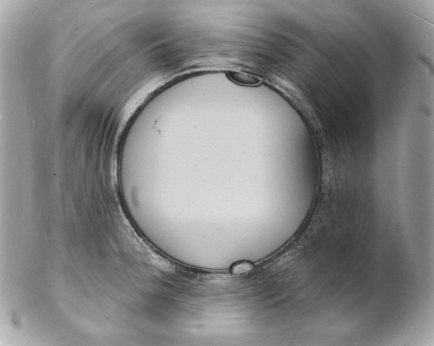 X0000102231188200808151722