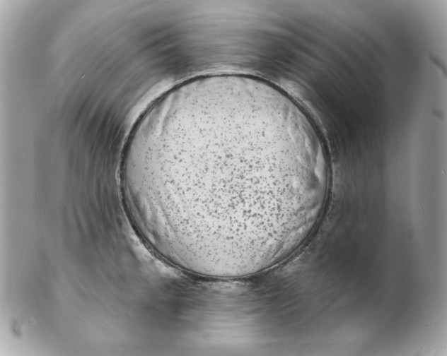 X0000102231189200808151722