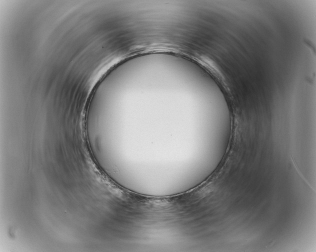 X0000102231190200808151722