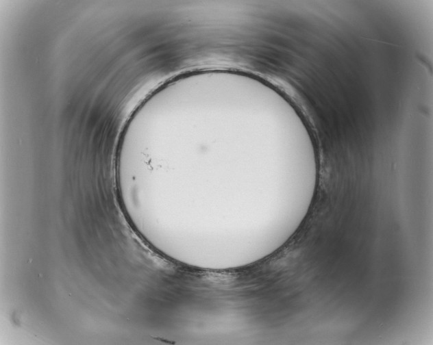 X0000102231191200808151722