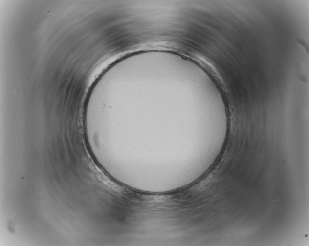 X0000102231192200808151722