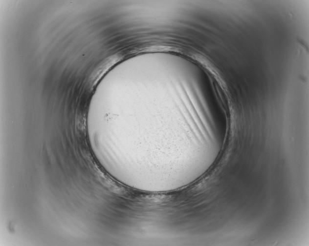 X0000102231193200808151722