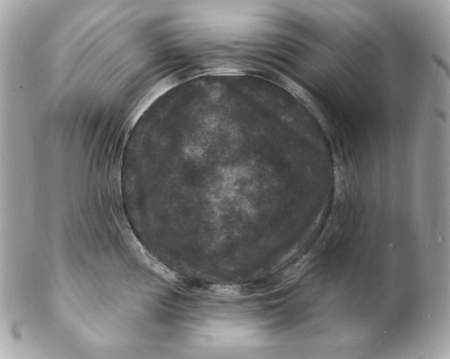 X0000102231194200808151722
