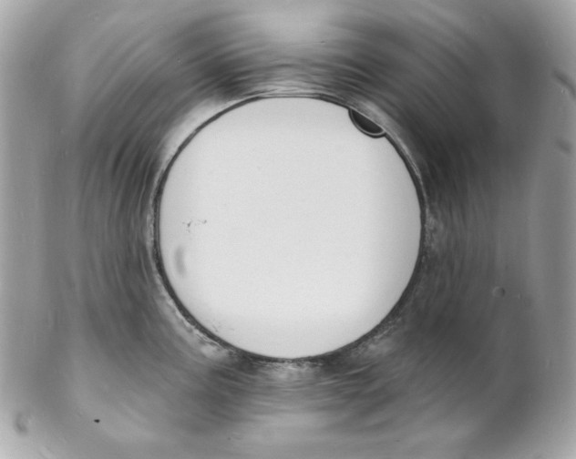 X0000102231195200808151722