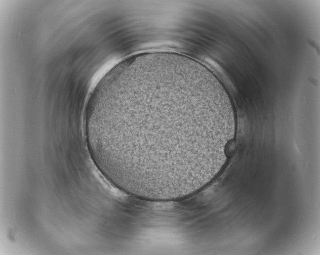 X0000102231196200808151722