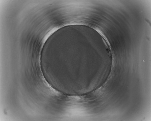 X0000102231197200808151722