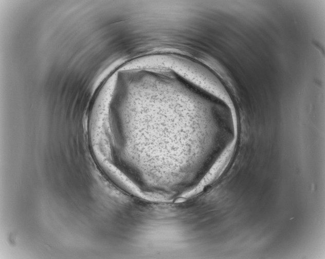 X0000102231198200808151722