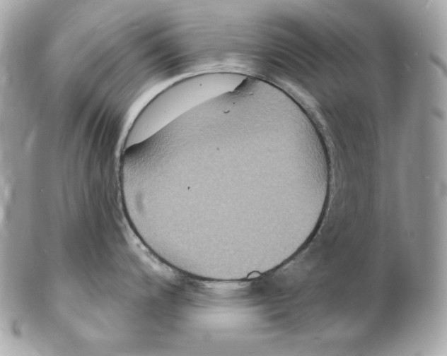 X0000102231200200808151721