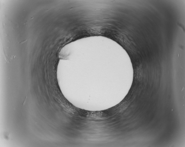X0000102231201200808151721