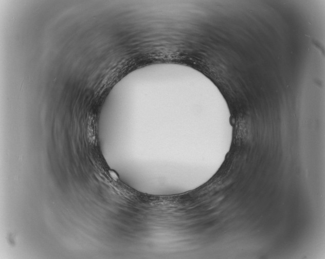 X0000102231202200808151721