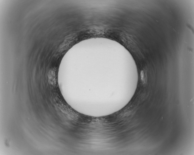 X0000102231203200808151721