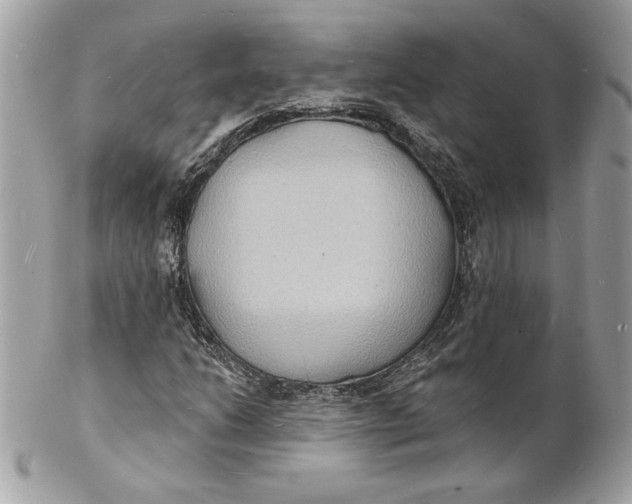 X0000102231206200808151721