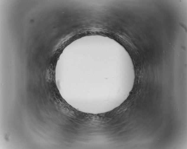X0000102231207200808151721