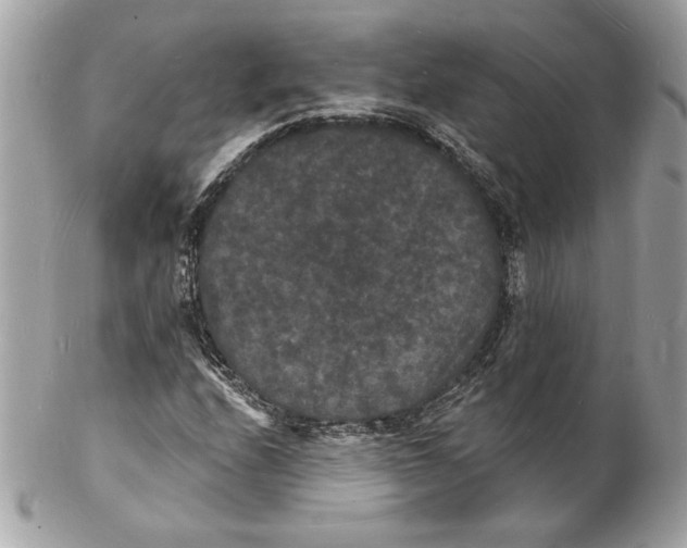 X0000102231208200808151721