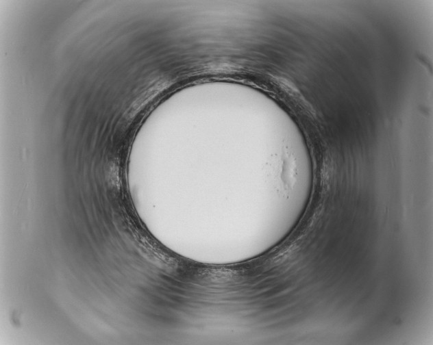 X0000102231209200808151721