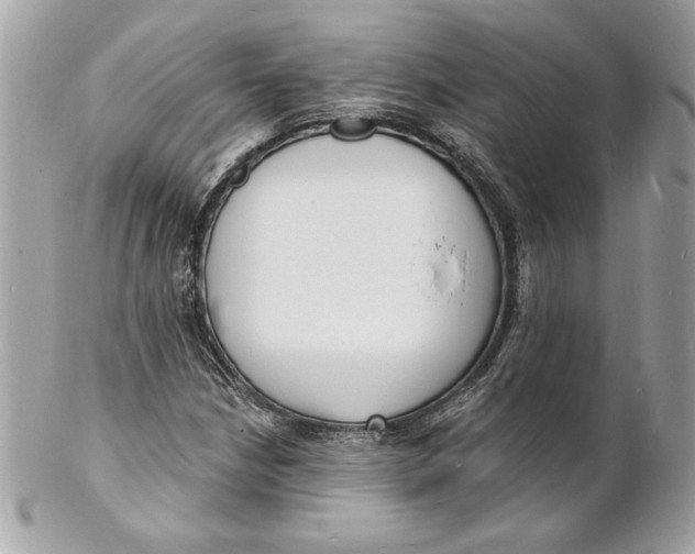 X0000102231210200808151721