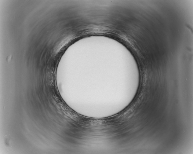 X0000102231211200808151721