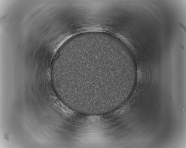 X0000102231212200808151721