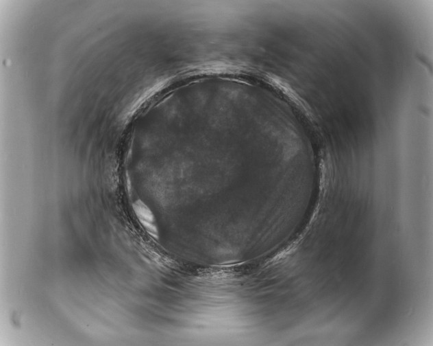 X0000102231213200808151721