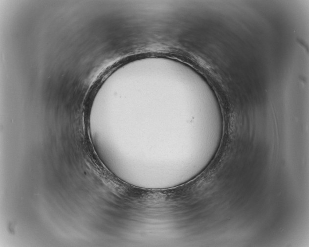 X0000102231214200808151721
