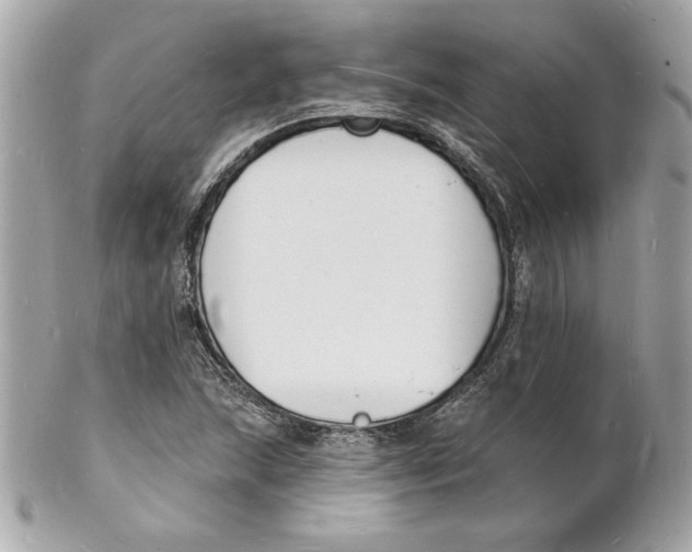 X0000102231215200808151721