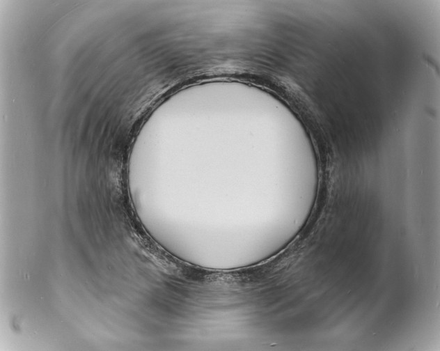X0000102231217200808151721