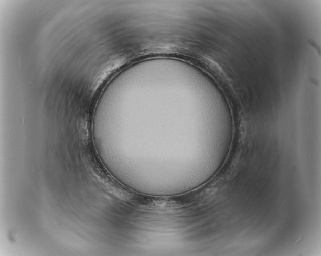X0000102231218200808151721