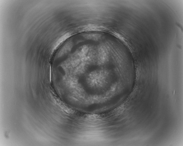 X0000102231219200808151721
