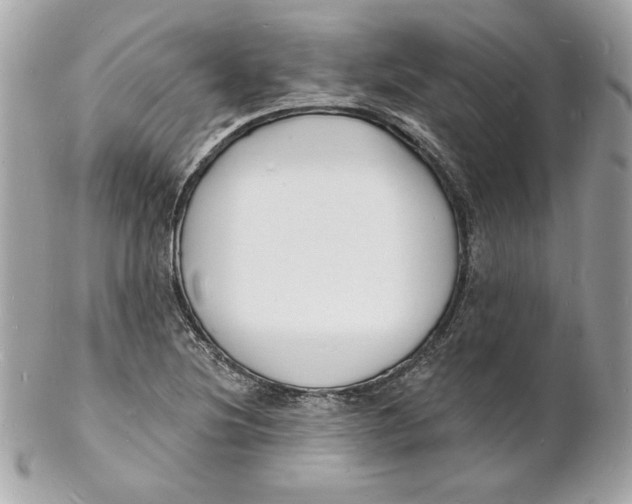 X0000102231220200808151721