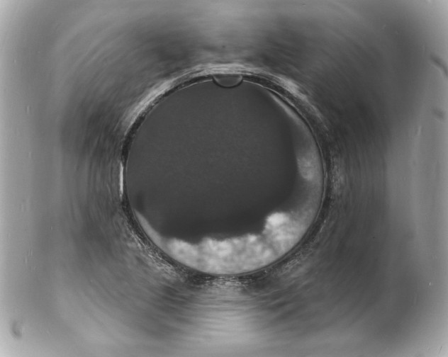 X0000102231221200808151721