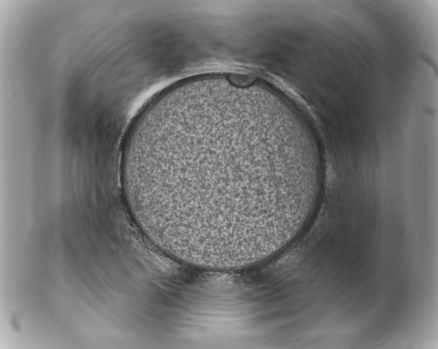 X0000102231222200808151721