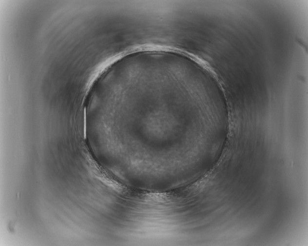 X0000102231223200808151721