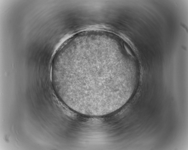 X0000102231224200808151721