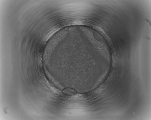 X0000102231225200808151721