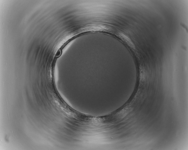 X0000102231226200808151721