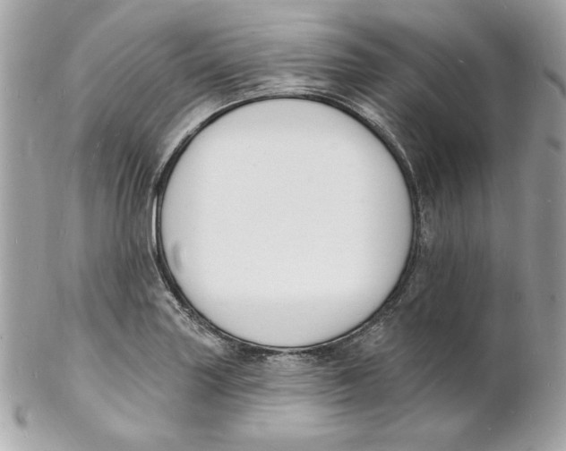 X0000102231227200808151721