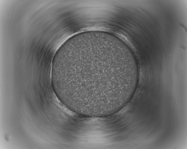 X0000102231228200808151721