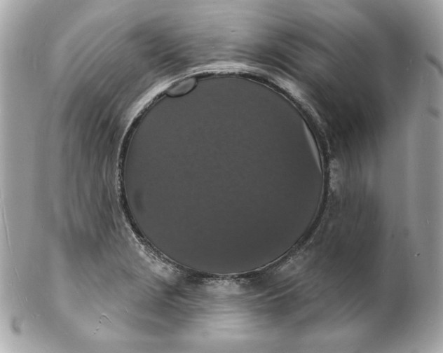 X0000102231229200808151721
