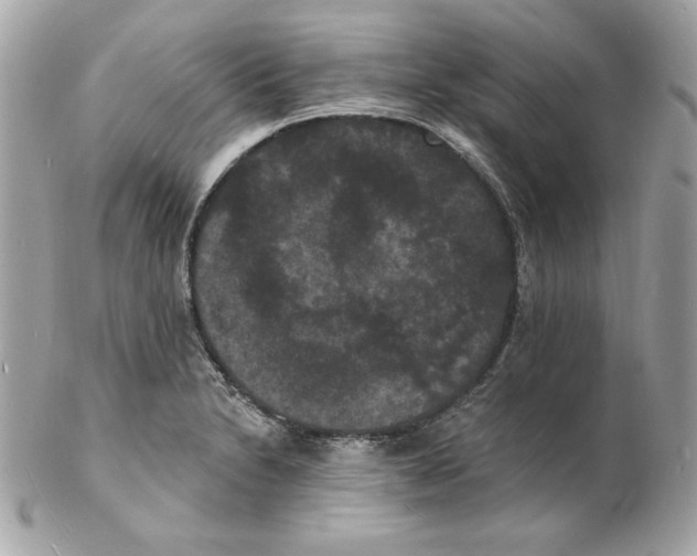 X0000102231230200808151721